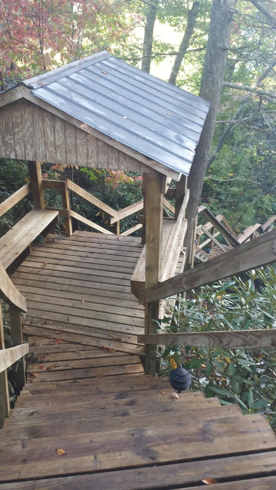 Metal roofed shelter over wooden steps on a wooded walkway — Skylight Repair & Installation work by our crew in Miles